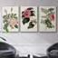 Mélange floral rose I-91887153-91887157