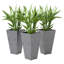 Ensemble de 3 grandes jardinières grises, finition en marbre plastique, décoration intérieure / extérieure