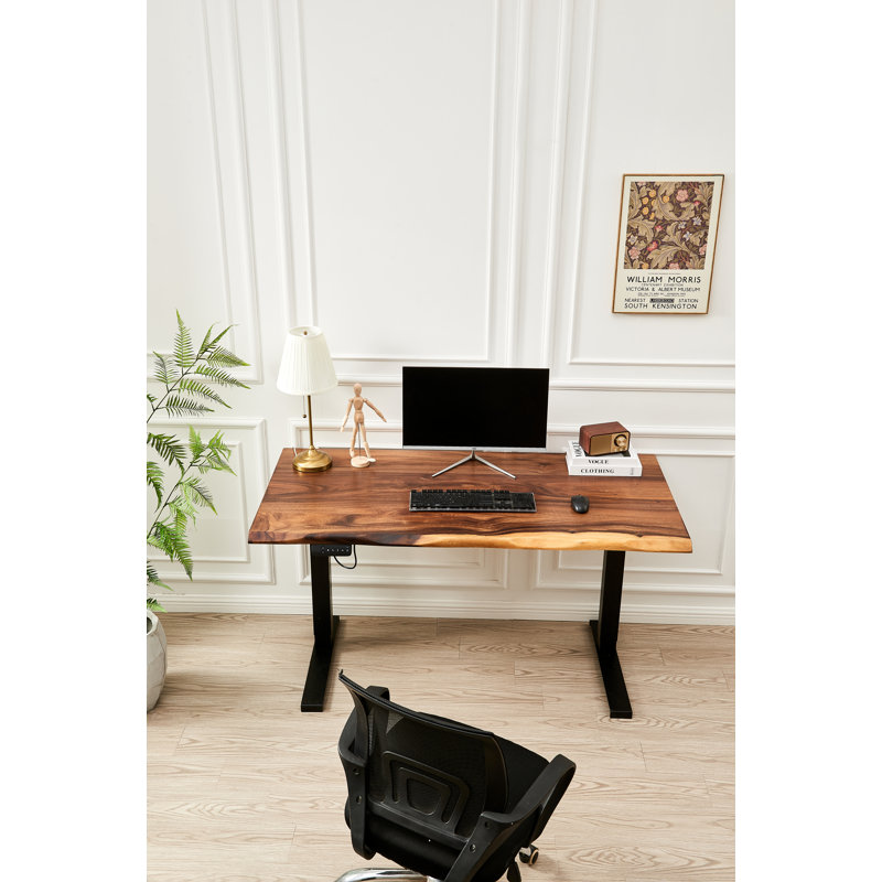  Adjustable Standing Desk with South American Walnut, Live Edge Desk, Black, 29.5" H x 46" W x 24" D
