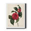 Red Botanical I - impression sur toile tendue-1764267646