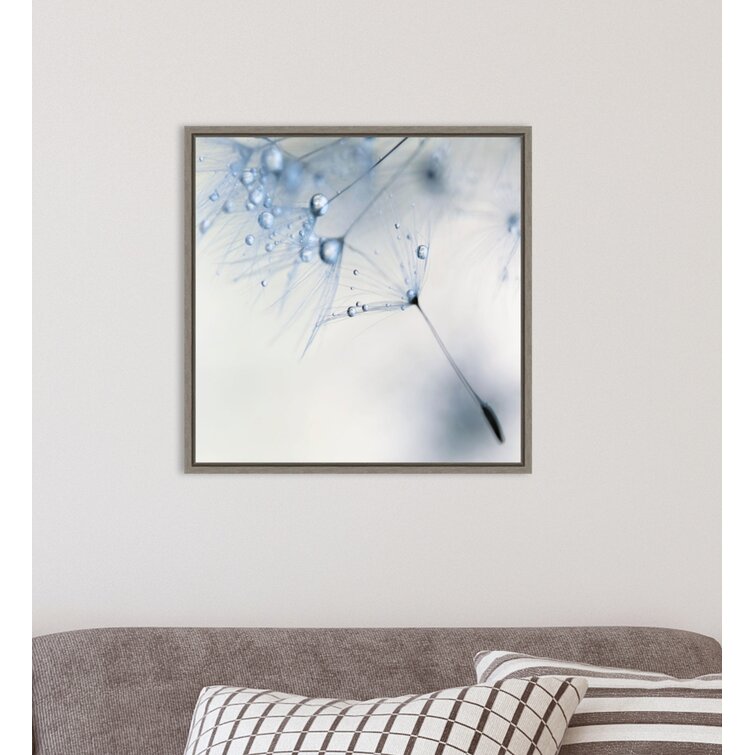 DiaNocheDesigns Dandelions Framed On Canvas by Brazen Design Studio Print -  Wayfair Canada