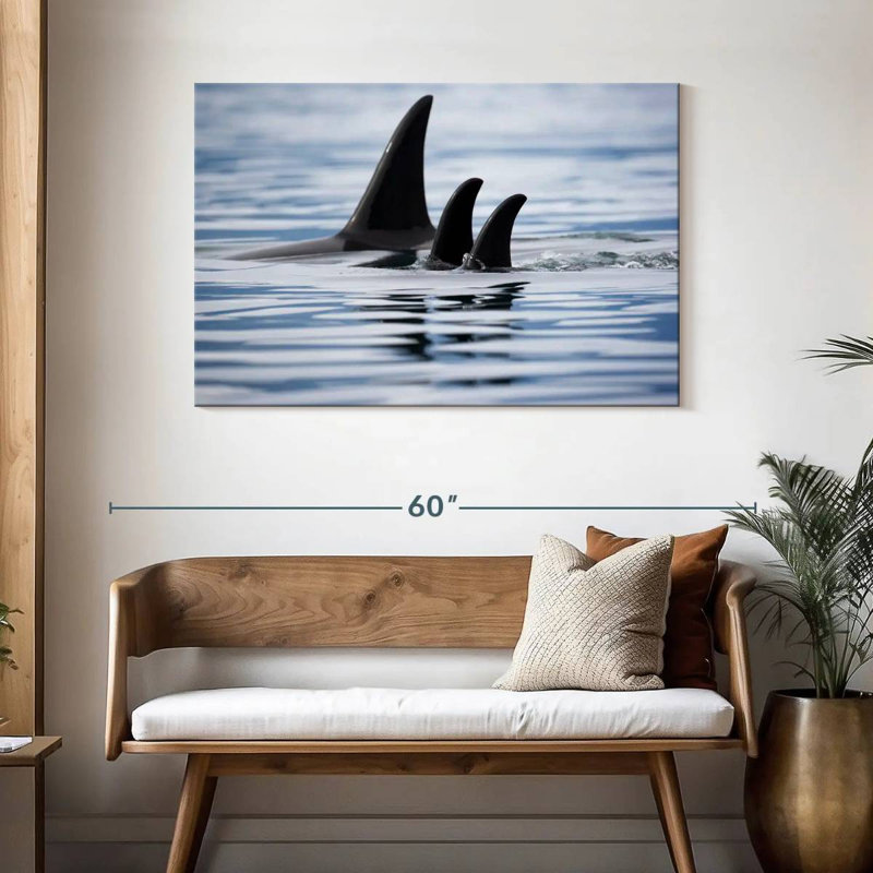 Brampt Killer Whale Fins, 30" H x 45" W