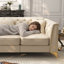 Canapé Chesterfield 61,8 po-1953565398