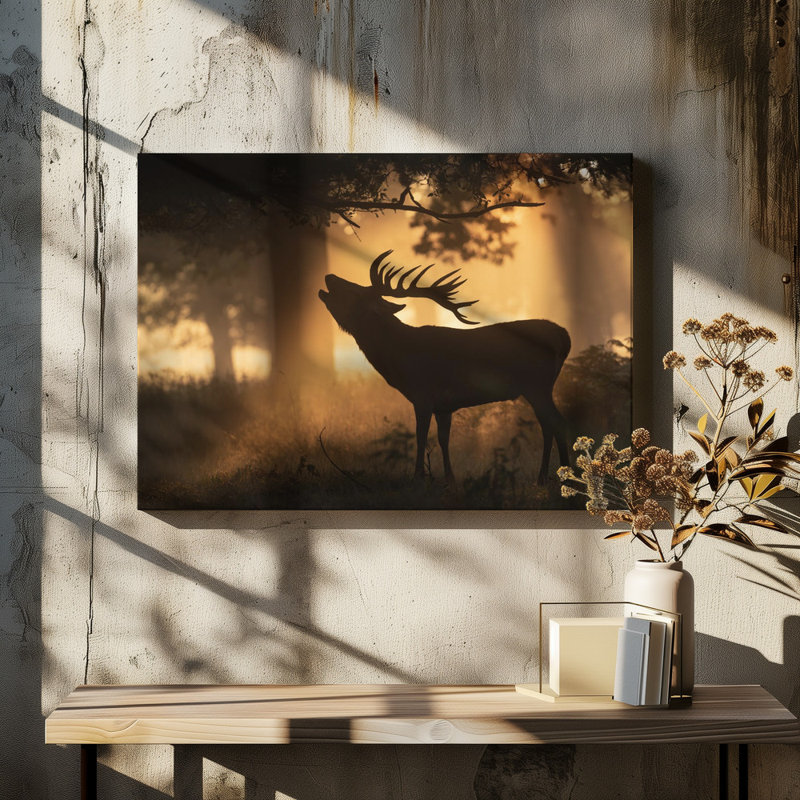 Wrapped Canvas Print, 50.8 cm H x 76.2 cm W