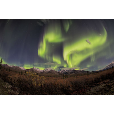 " Northern Lights "