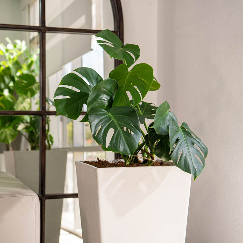 Pot Planter, White