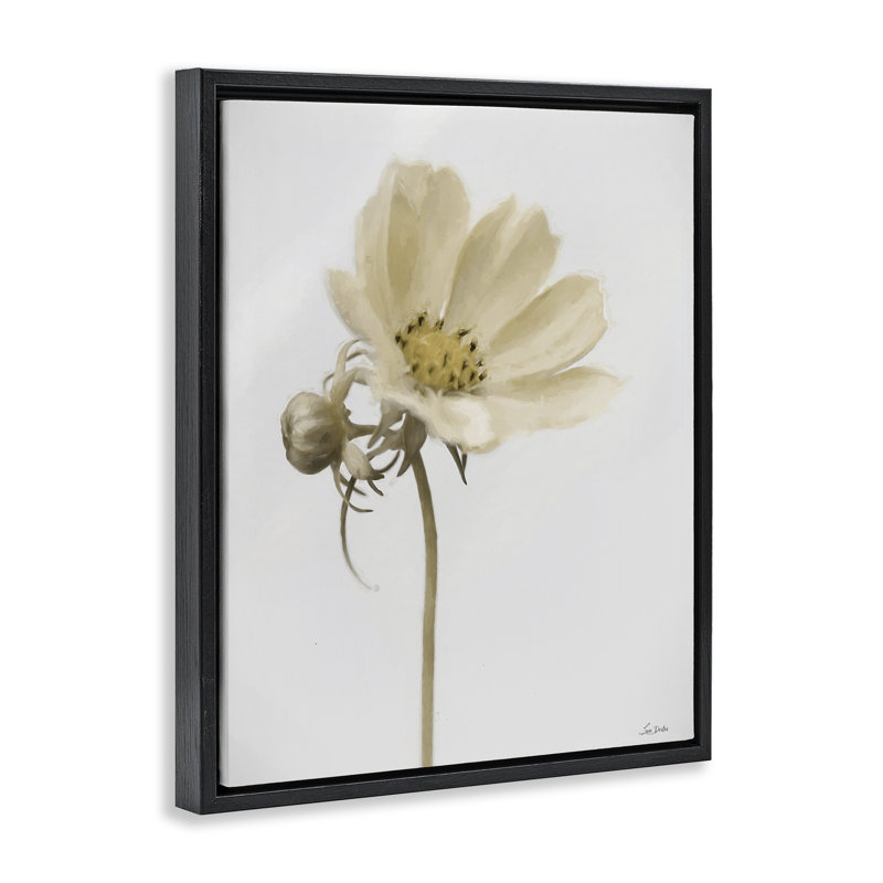 Cadre flottant Simple Beauty Soft Flower, design par Lori Deiter, Cadre flottant noir de jais, H 21 po x l 17 po