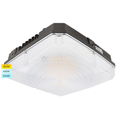 Dimmable Square Flush Mount