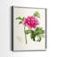 Impression encadrée PrettyPinkBotanicalsI-Premium - prête à être accrochée - aucun clou requis - aucun clou requis-1909328015-1909328014