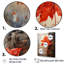 «Maples Mark Autumn Red» sur toile-575651029-575651026