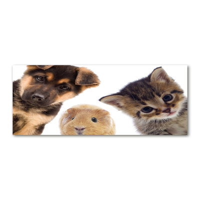 Pets - No Frame Print on Canvas