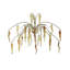 Daniela 5 - Light Chandelier
