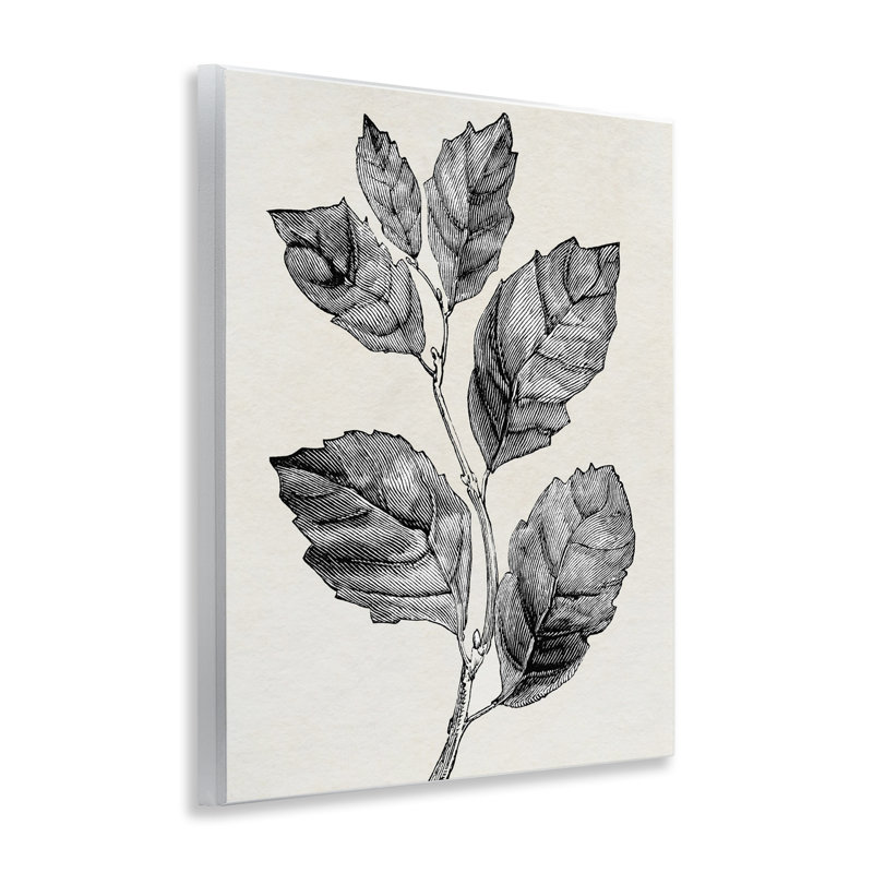 Plaque murale classique coupée à la branche de feuille, design par Karen Smith