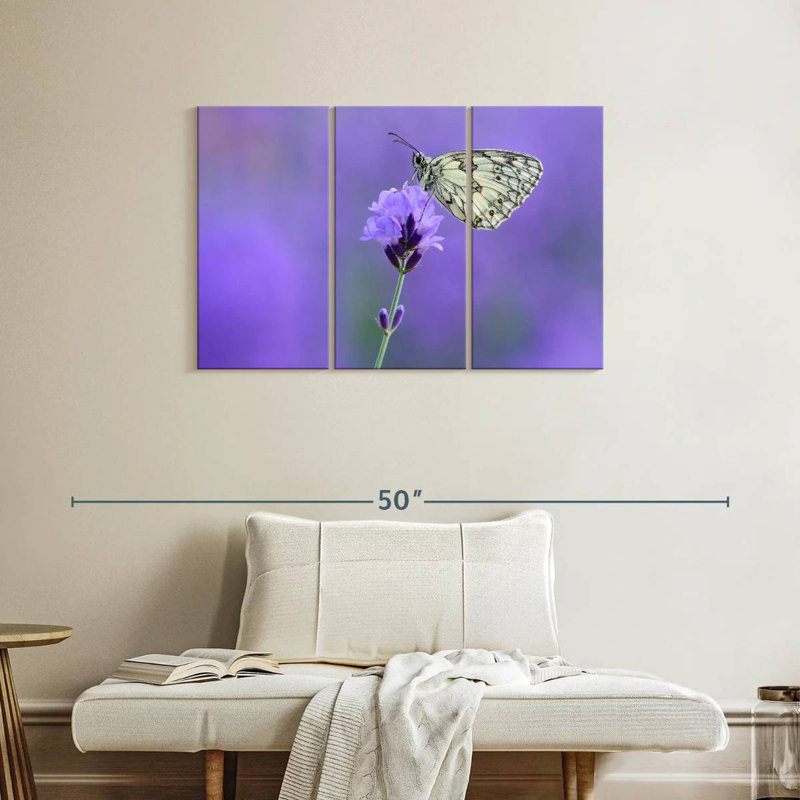 Papillon blanc marbré Brampt, H 24 po x l 38 po