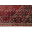 Tapis rouge Bijar 7 pi 6 po x 7 pi 7 po