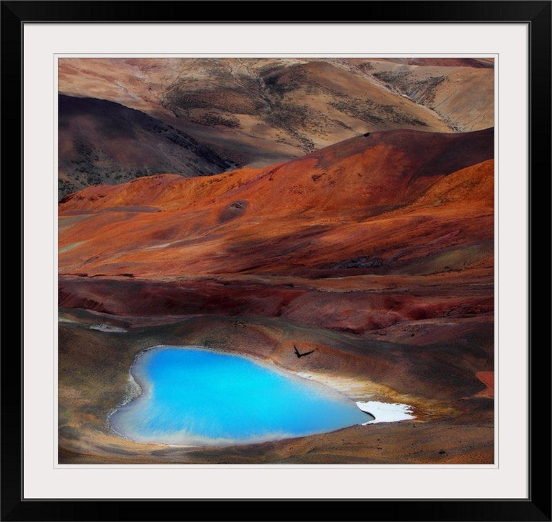 «Straub A Blue Heart» par BJ Yang - reproduction de photo, H 38 po x l 38 po x P 1 po, Cadre noir