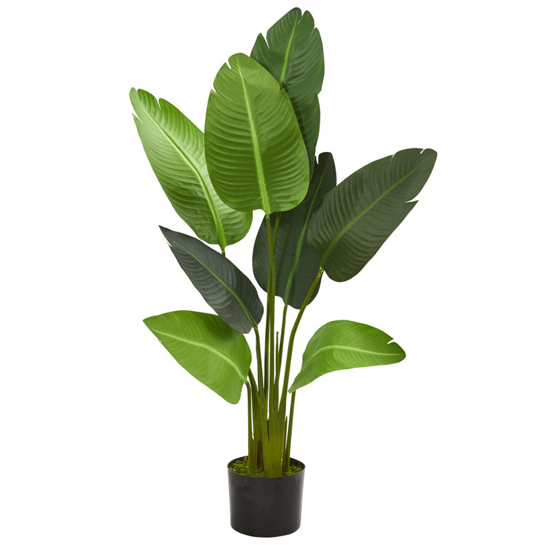 48'' Faux Palm Tree in Planter