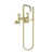 Satin Brass
