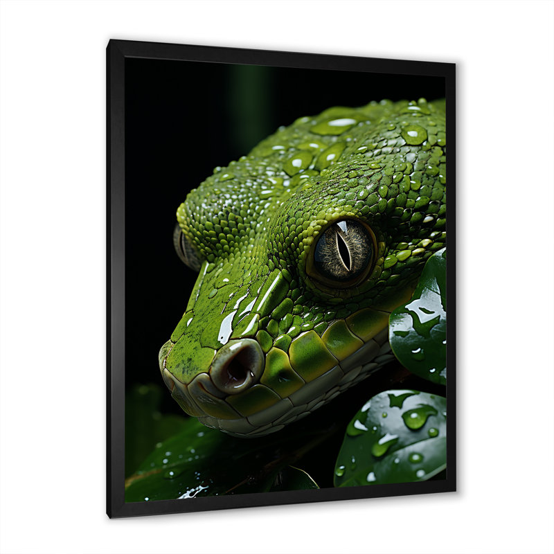 Serpent émeraude enroulé sur toile, H 20 po x l 12 po x P 1 po, Cadre simple noir