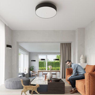 Flush Mount