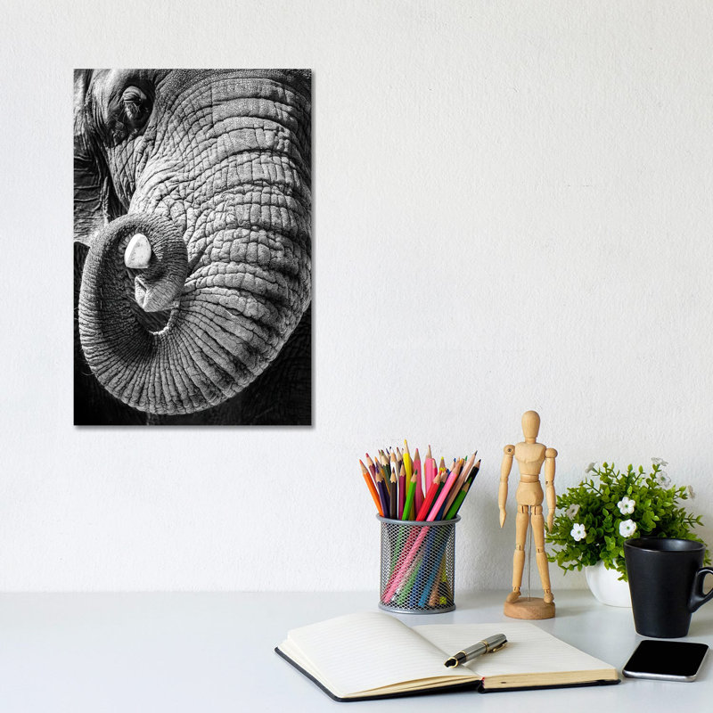 Elephant Curling Trunk Around Tusk - Black And White by Susan Richey - Gallery-Wrapped Canvas Giclée on Canvas, Canvas
