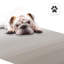 Tapis d'extérieur imperméable en plastique à paille Joena-666592648-624328055