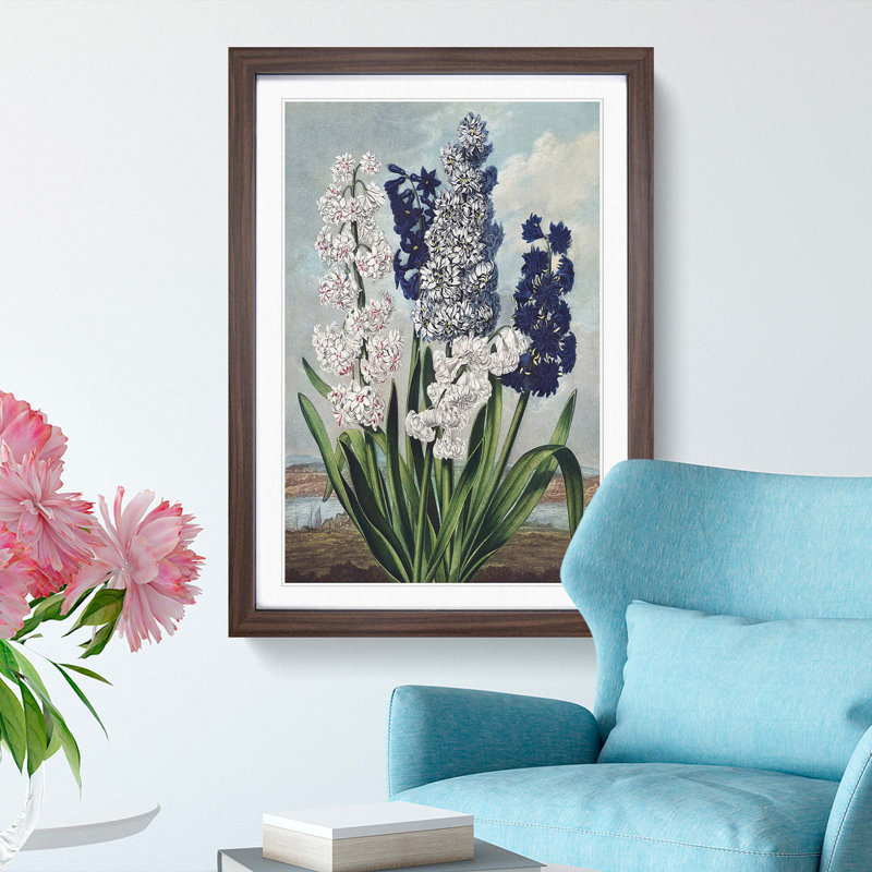 Hyacinths by R.J. Thornton - Picture Frame Painting Print, Walnut Framed, 65cm H x 48cm W x 2cm D