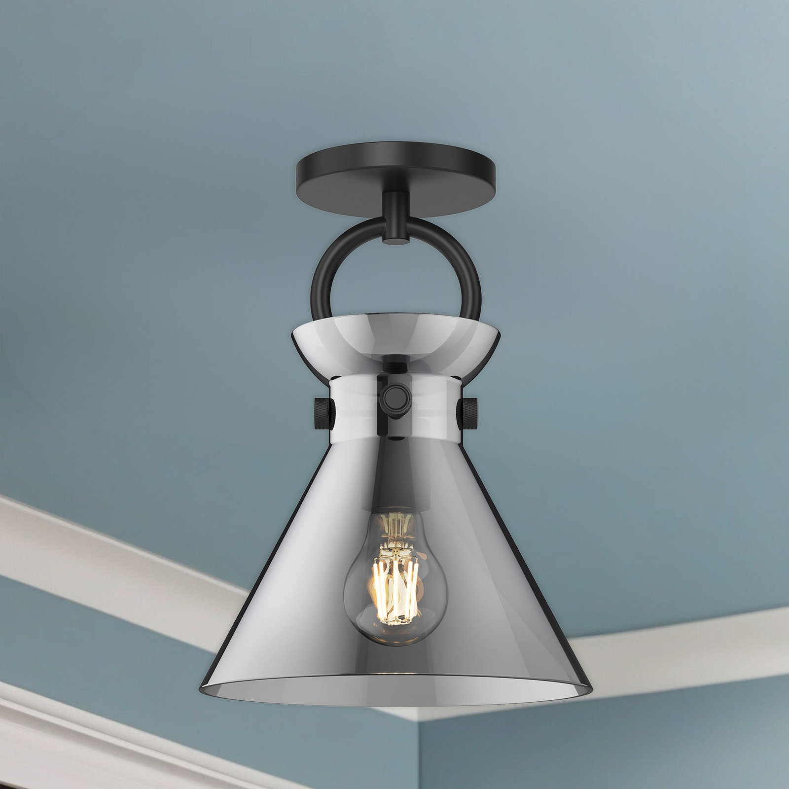 Tiney Single Light Glass Semi Flush Mount, Matte Black, Smoked