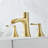 Widespread 2-handle Bathroom Faucet with Drain Assembly-99926946