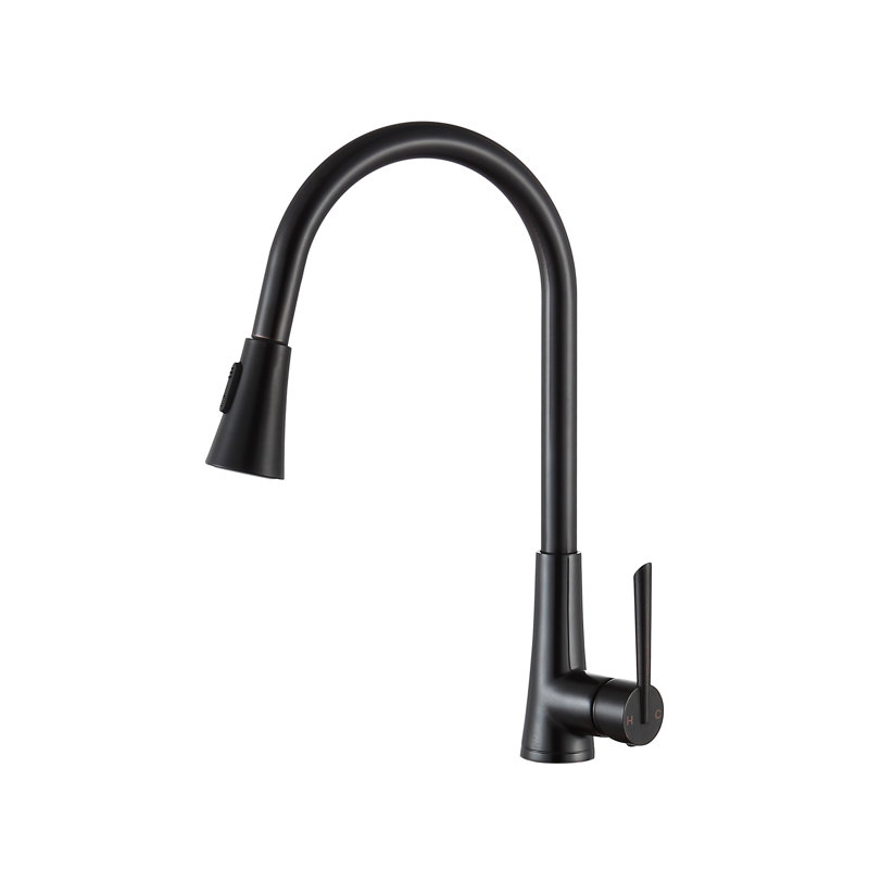 ANZZI Tulip Series Pull Out Kitchen Faucet, Oil Rubbed Bronze