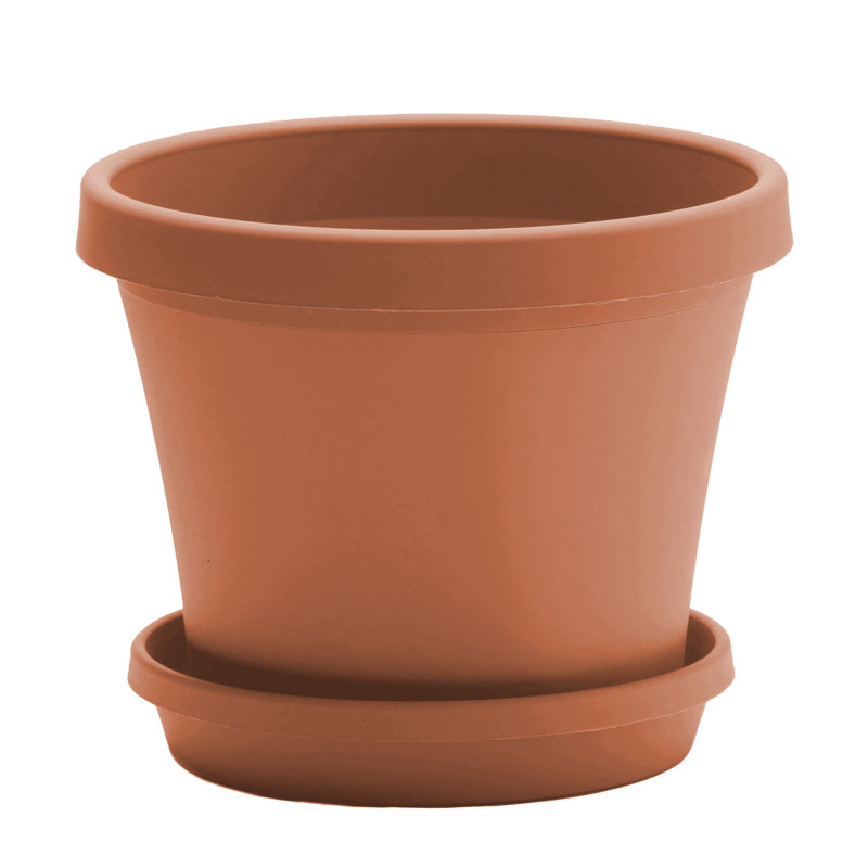 Ensemble de pot à fleurs et soucoupes intérieur / extérieur en plastique Terra (4 po, 6 po, 8 po)