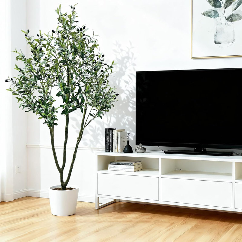 210cm Plant