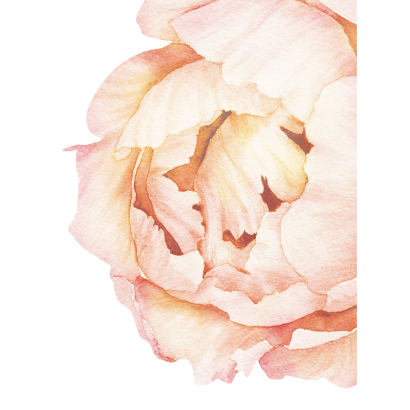 Adhésif décoratif pivoine Wanette, Pêche vintage