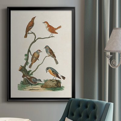 " Antique Birds In Nature IV "