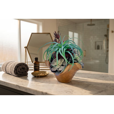 Arrangement de plantes grasses fabriquées à la main | Pièce maîtresse moderne en bois flotté rustique (10 po x 10 po x 12 po)
