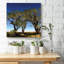 «Tree Line» par le photographe Steven A. Heller - toile 30 po x 30 po-1747555483