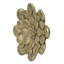 Plaque murale succulente D10x1,6 po