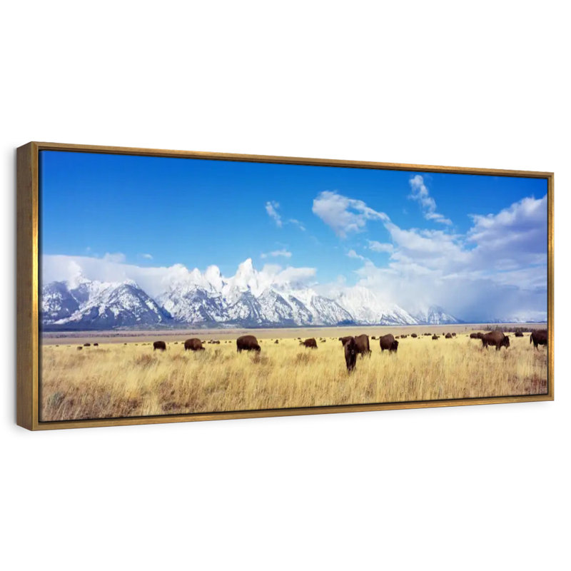 Troupeau de bisons au parc national de Grand Teton WY, 25" X 9", Floating Frame Gold