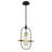 Luminaire suspendu 1 lumière Middleton