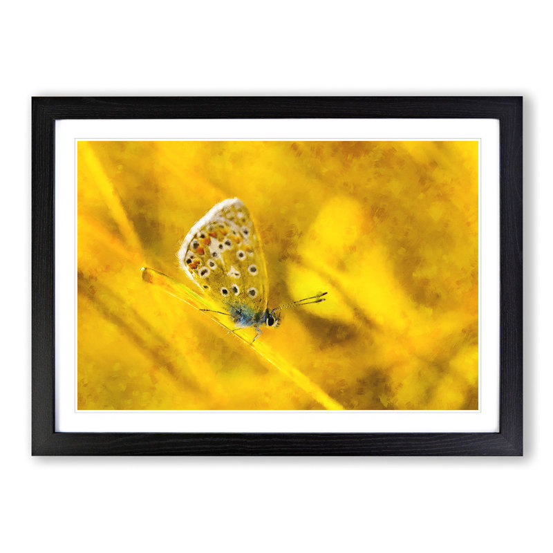 Yellow Butterfly - Picture Frame Painting Print, 36cm H x 48cm W x 2cm D, Black Framed