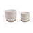 Ceramic Saucer Planters With Textured Circular Design, Durable Modern Accent Planter Pots, Contemporary Style Containers For Indoor Decor, Set Of 2-913906409