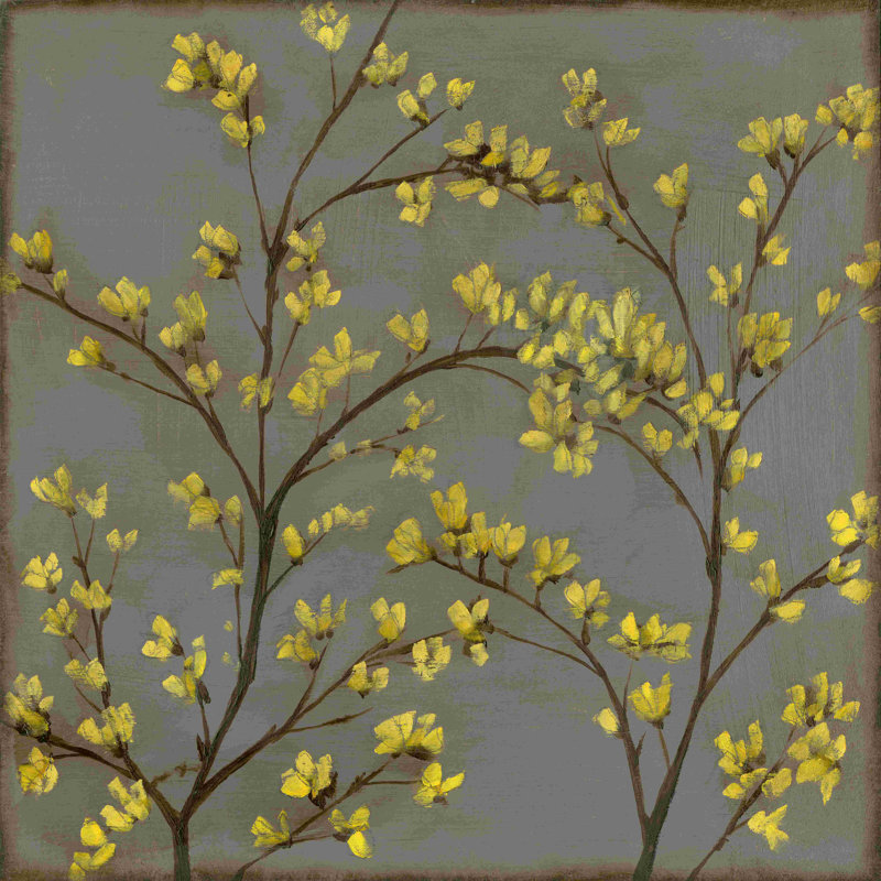 Forsythia II, H 12 po x l 12 po
