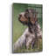 Art mural en verre Hokku Designs «Dogs German Wirehaired Pointer» par Lindsay Kivi-1760261418