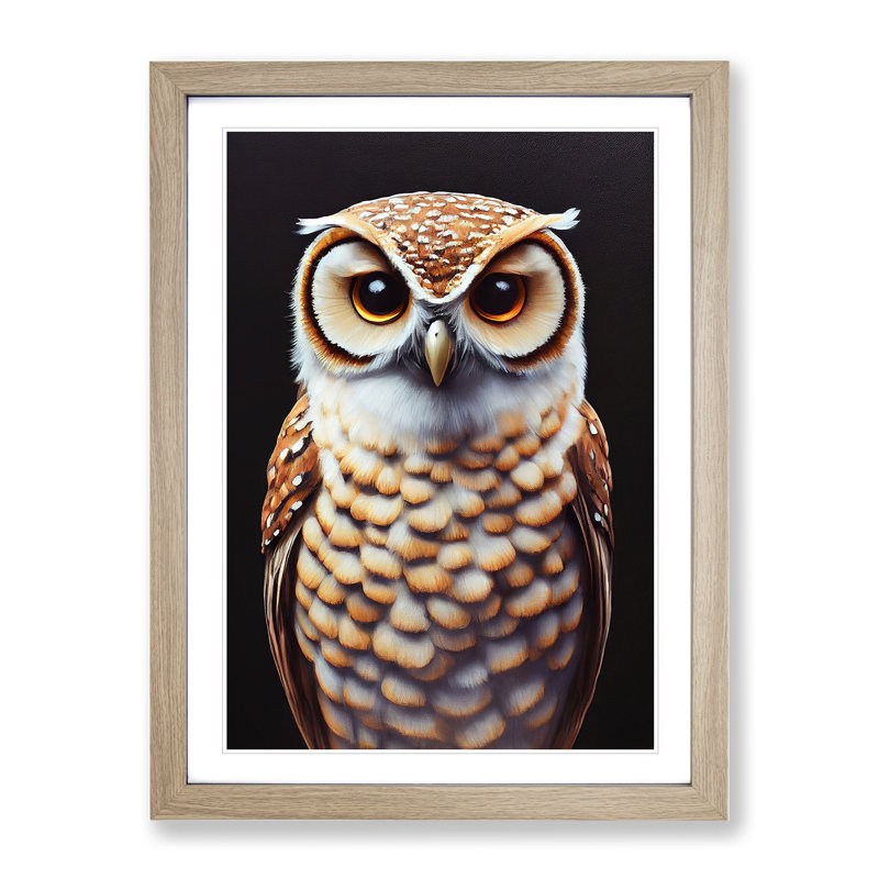 Admirable Owl - Single Picture Frame Print, 64cm H x 46cm W x 2cm D, Oak Framed
