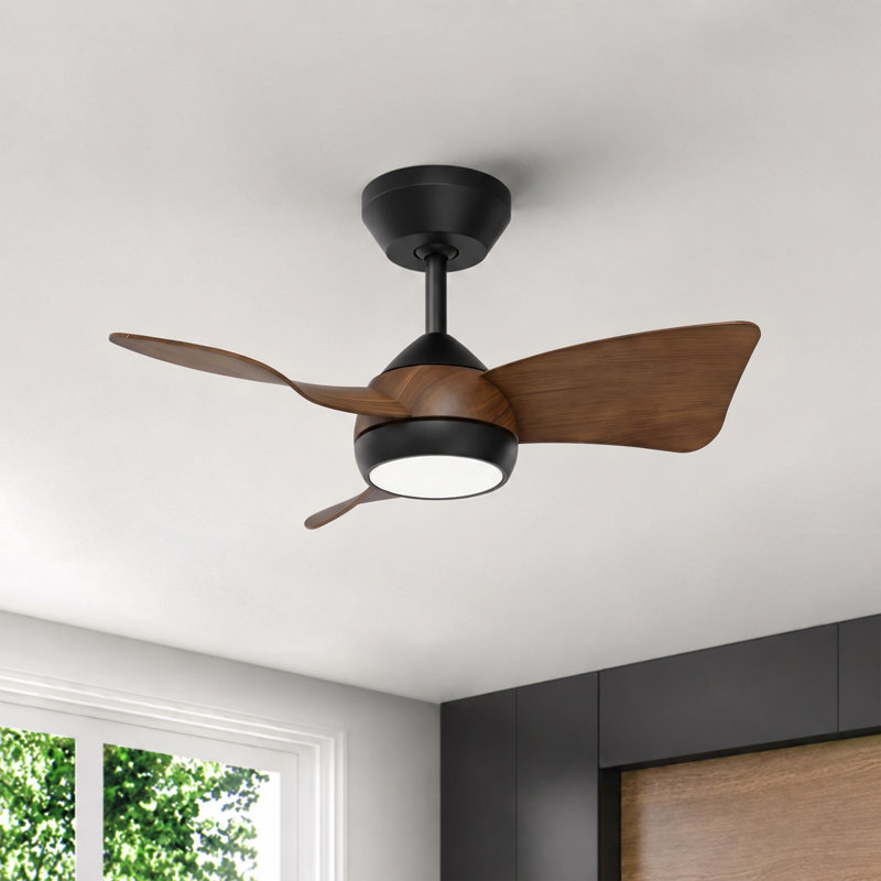 30" Small Ceiling Fan for 50-100sq ft Small Rooms - High Airflow Low Noise Reversible DC Motor - Modern Ceiling Fan with Light & Remote