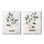 Branches de persil basilic Country Herbs par Kelley Talent - ensemble de 2 impressions