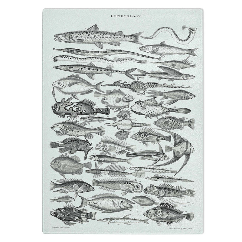 Tempered Glass Study of Fish Xlvh by Oliver Goldsmith Chopping Board, 28.5 cm W x 39 cm L