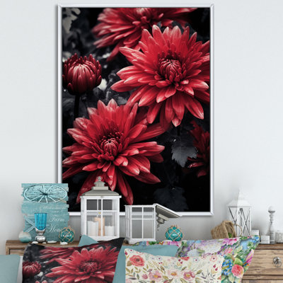 «Red Gray Mums Spendor», reproduction sur toile