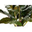 165cm Faux Banana Leaf Plant in Pot