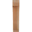 Attelle impériale du genou-31229264-31229277-29309856
